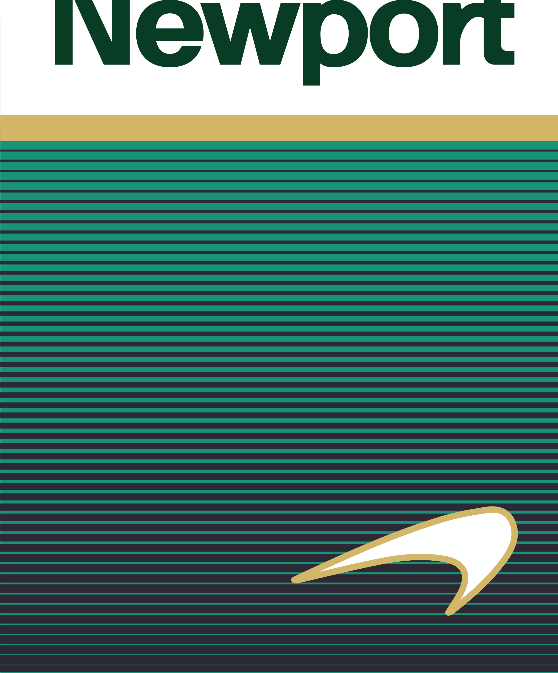 NEWPORT BOX – Craft Junky 24